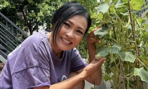 Thưởng đăng ký J88 và cảm hứng sống xanh từ vườn rau sân thượng của Phương Thanh